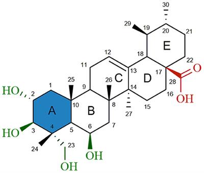 Synthesis and Biological Evaluation of New Madecassic Acid Derivatives Targeting ERK Cascade Signaling